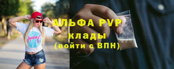 прущие крисы Вяземский