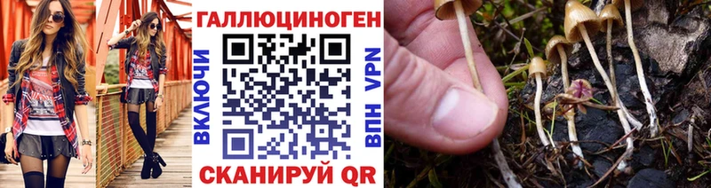 Купить закладки  Кудрово  Псилоцибиновые грибы Magic Shrooms 