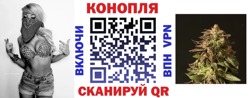 Купить где  Кудрово  Бошки марихуана планчик 